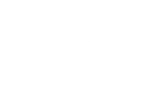 APEDV, Associação Promotora de Emprego de Deficientes Visuais